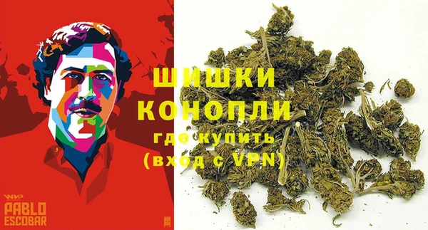 прущая мука Богданович
