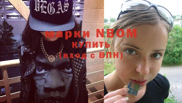 гашик Богородск