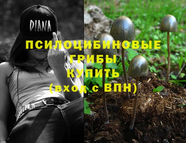 дживик Богородицк