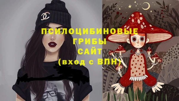 герыч Бородино