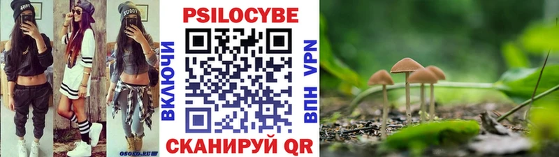 Галлюциногенные грибы GOLDEN TEACHER  Воронеж 