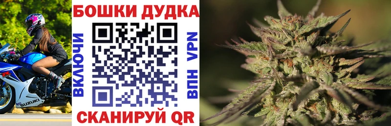 хочу наркоту Воронеж блэк спрут маркетплейс Каннабис индика